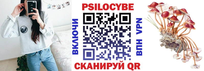 hydra онион  Талица  Псилоцибиновые грибы прущие грибы 